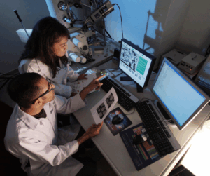 Two scientists in lab coats analyzing images and data on computer screens in a research lab, representing secure handling of scientific information.